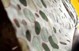 XXX اسپرم را افلام سكسي رومانسي اسپری کنید
