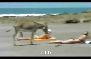 XXX مادر پورن: بالغ آوا خودش را به باغبان سكسي نيج رومانسي می دهد
