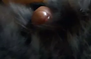 XXX شریک مادر مادر چاق به سبک افلام سكسي رومنسي سگ کوچولو در مقابل وب کم